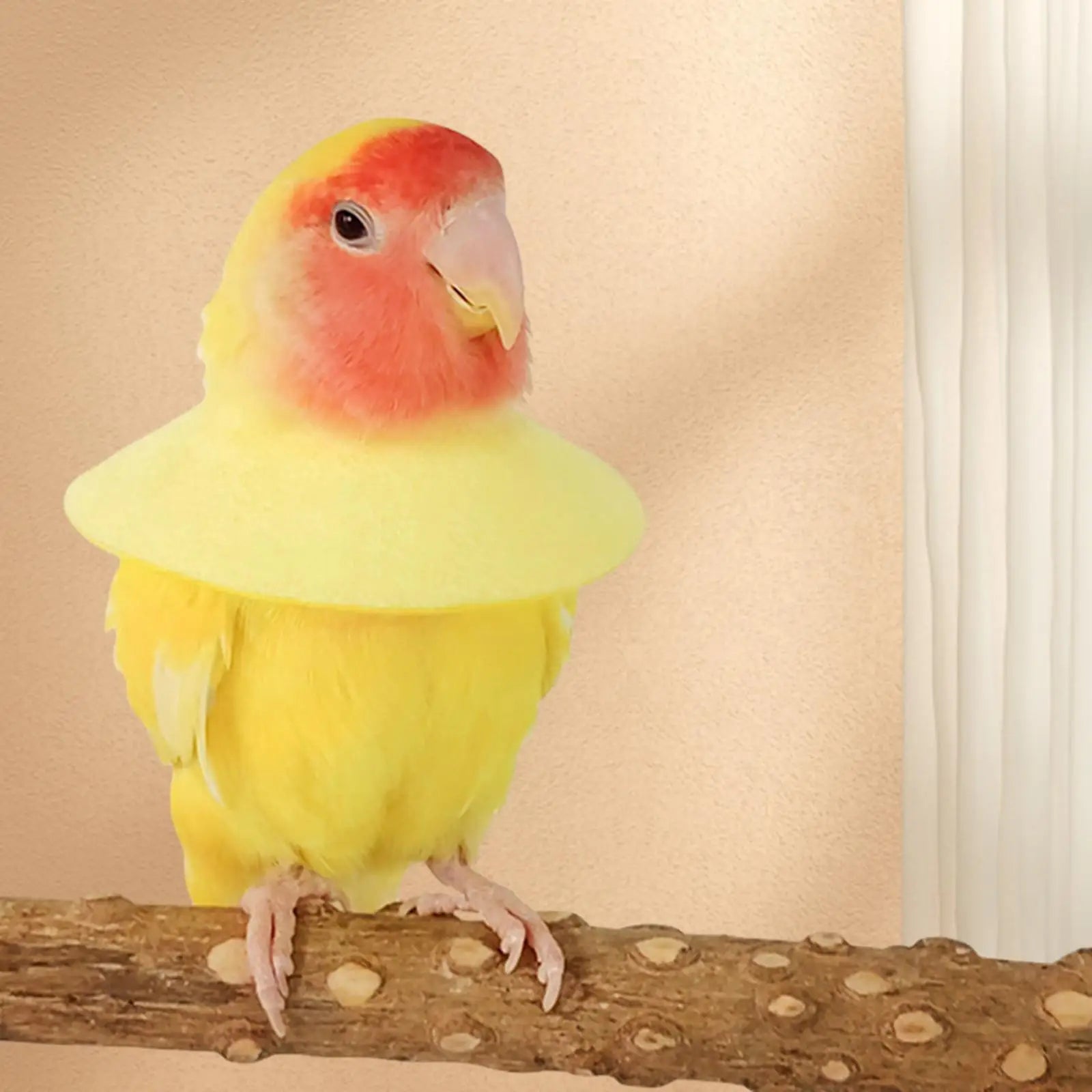 Bird Parrot Anti Bite Collar Breathable Comfortable Recovery Zpaxo