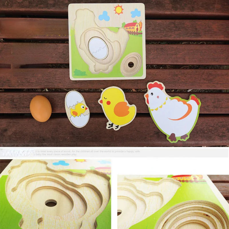 Wood 3D Puzzle Chick Grow Hens Laying Eggs Process Jigsaw Learning