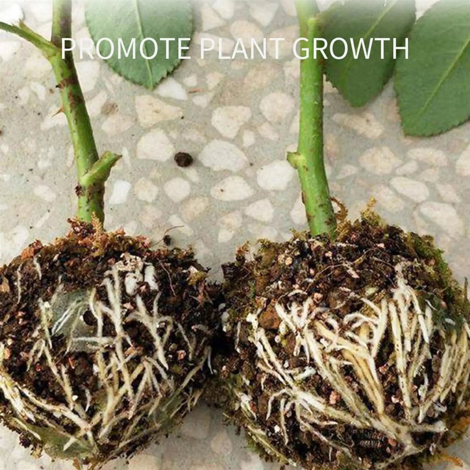 Plant Rooting Ball Grafting Rooting Box Breeding Case High Pressure Plant Root Growing Box For Garden Planting Supplies Zpaxo