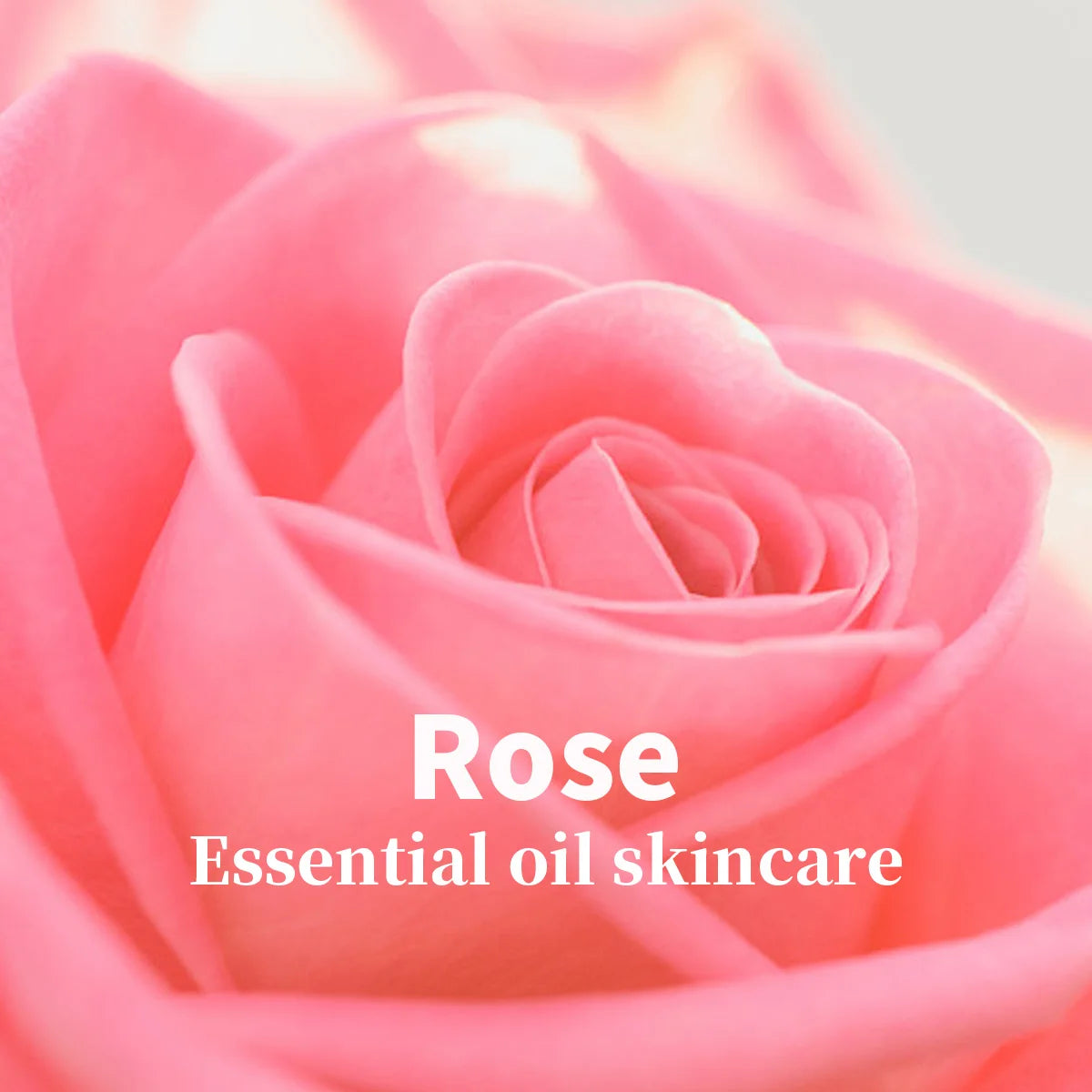 Rose Essential Oil Skincare and Cleansing Mousse, Deeply Cleanses, Controls Oil, Nourishes the Skin, Refreshing, Gentle Not Tightening Zpaxo