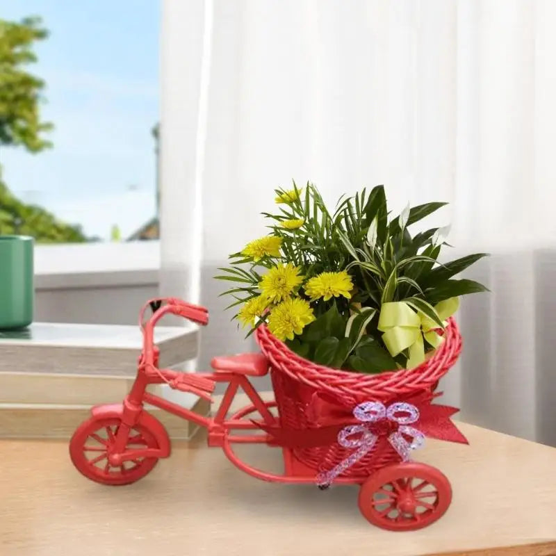 Bicycles Woven Basket Versatiles Rattans Bike Mounted Planter Indoor