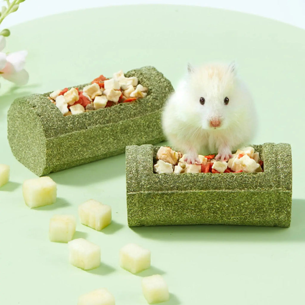 Hamster Chew Toys Teeth Pet Feeding Bowl Natural Chinchilla