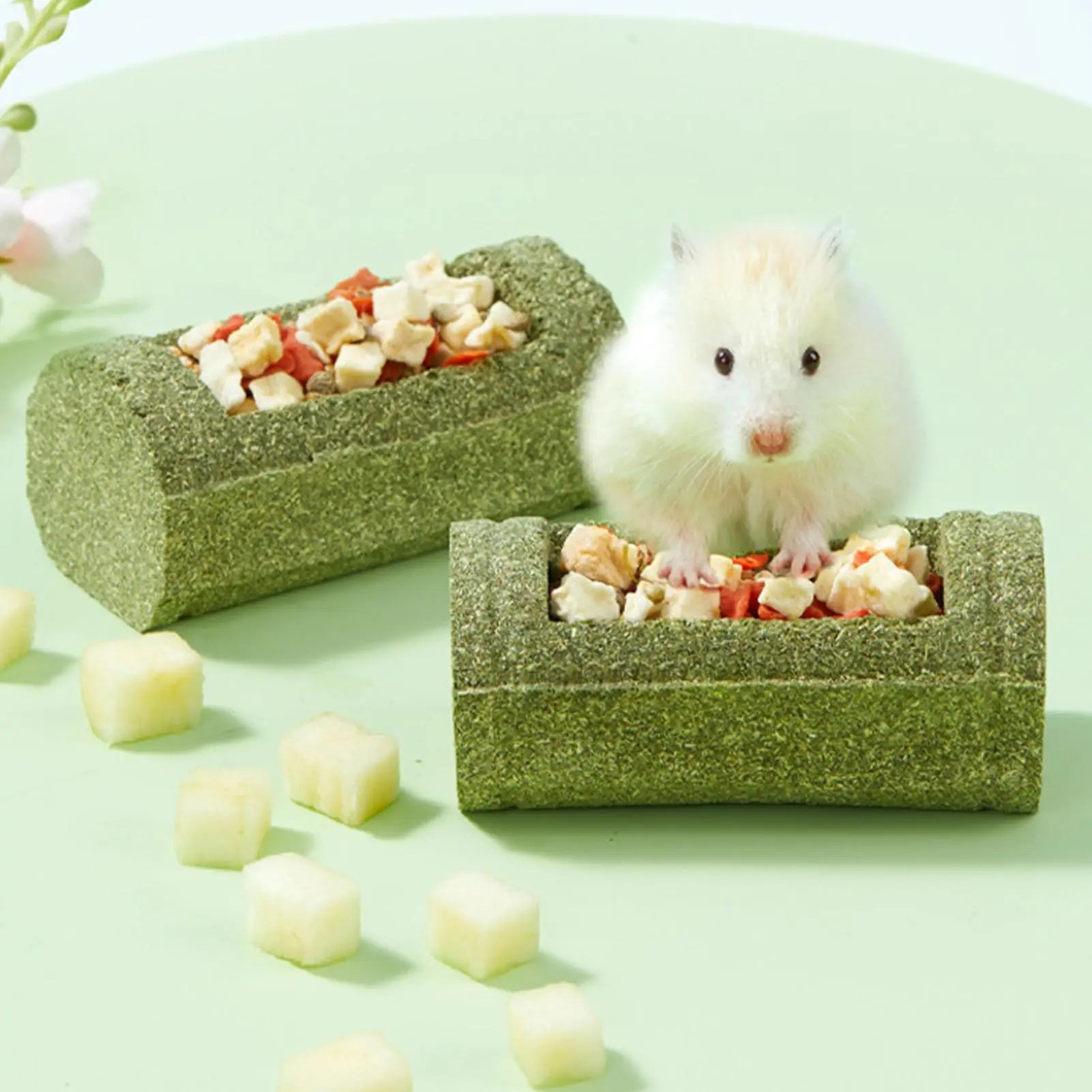 Hamster Chew Toys Teeth Pet Feeding Bowl Natural Chinchilla