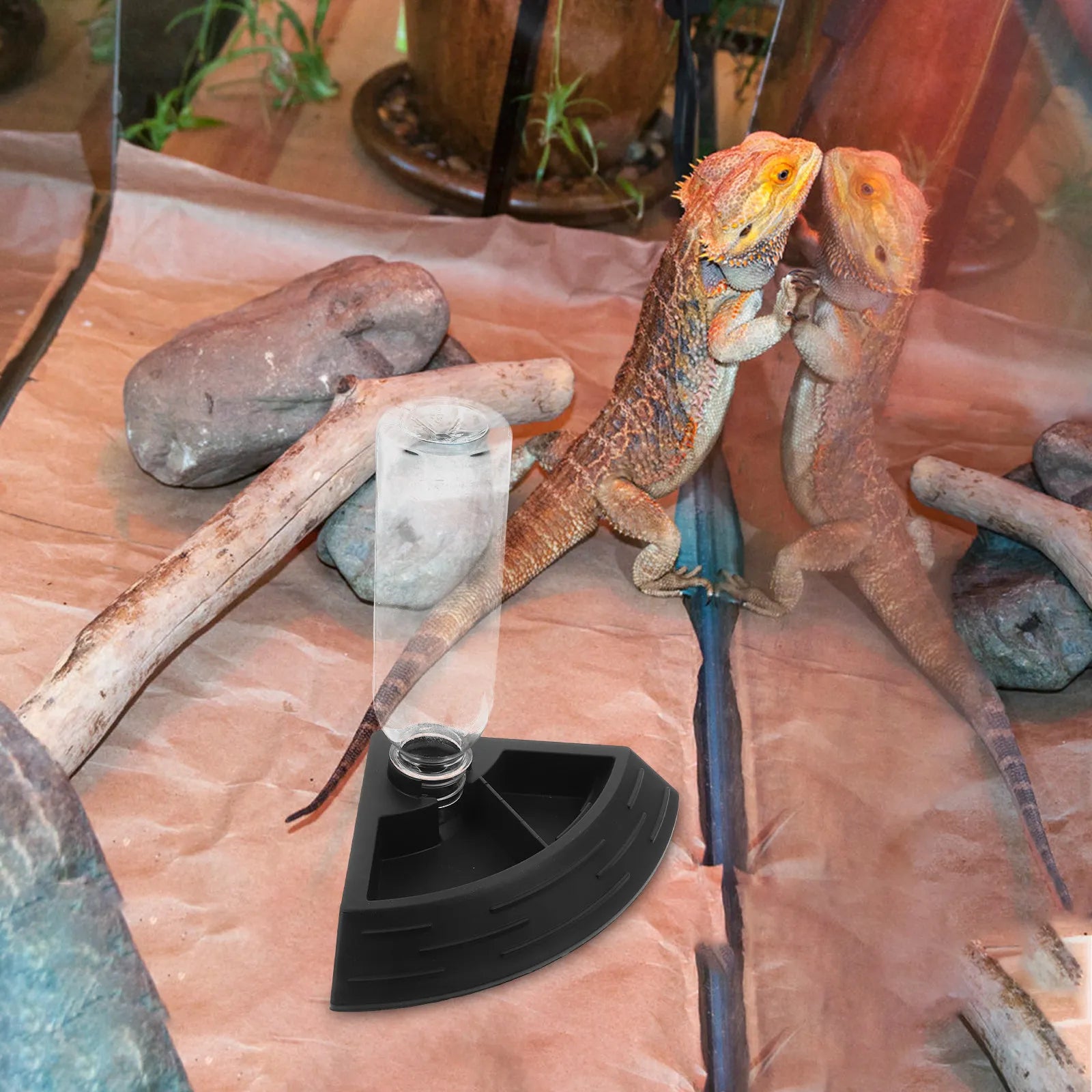 Automatic Reptile Water Bowl Spillproof Refillable Feeder Tortoise