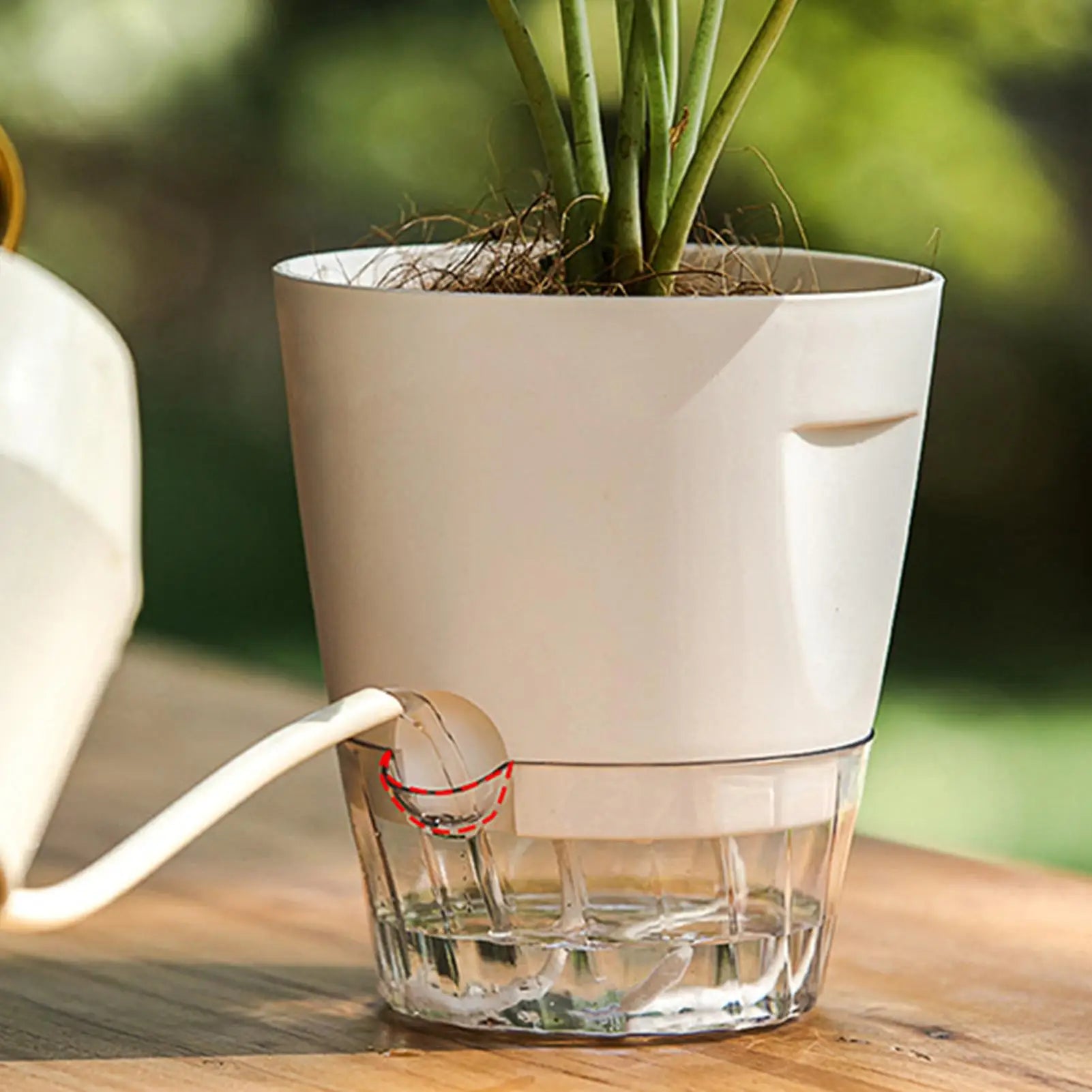Self Watering Pots 5 Grow Box Nursery Water Level Indicator Indoor