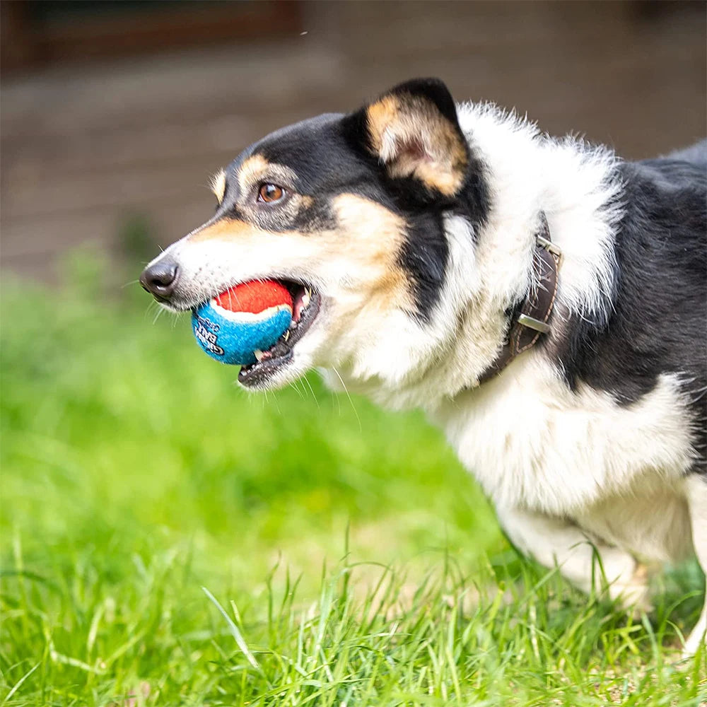 Pet Dog Squeaky Tennis Ball Interactive Toys Bounce Sound Rubber Zpaxo