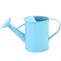 Iron Watering Can Easy Grip Handle Design Precise Indoor Outdoor