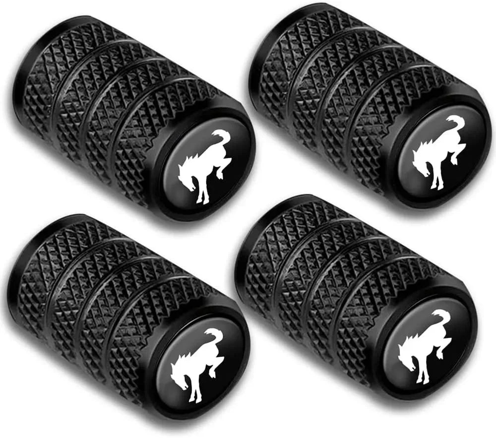 4-Pack Metal Tire Valve Stem Caps – Anti-Rust Universal Fit