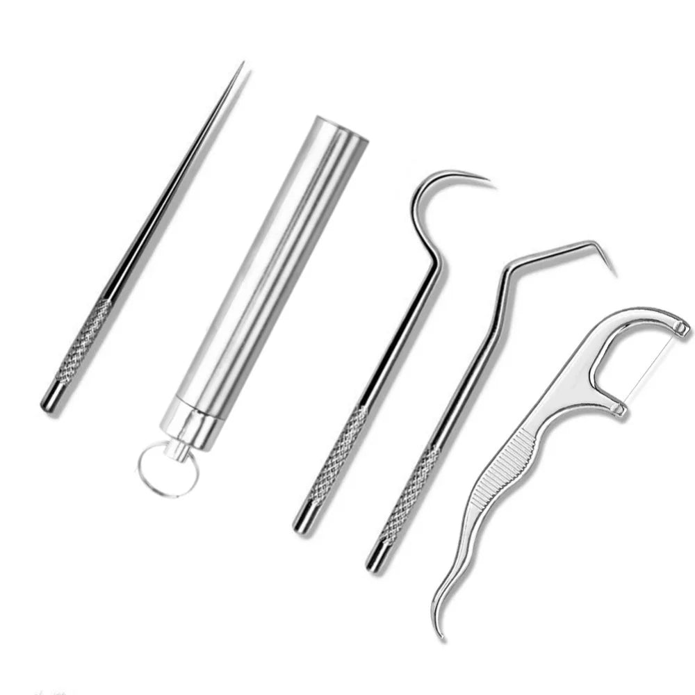 Reusable Stainless Steel Toothpick Set with Keychain Holder Dental Toothpick Set Zpaxo