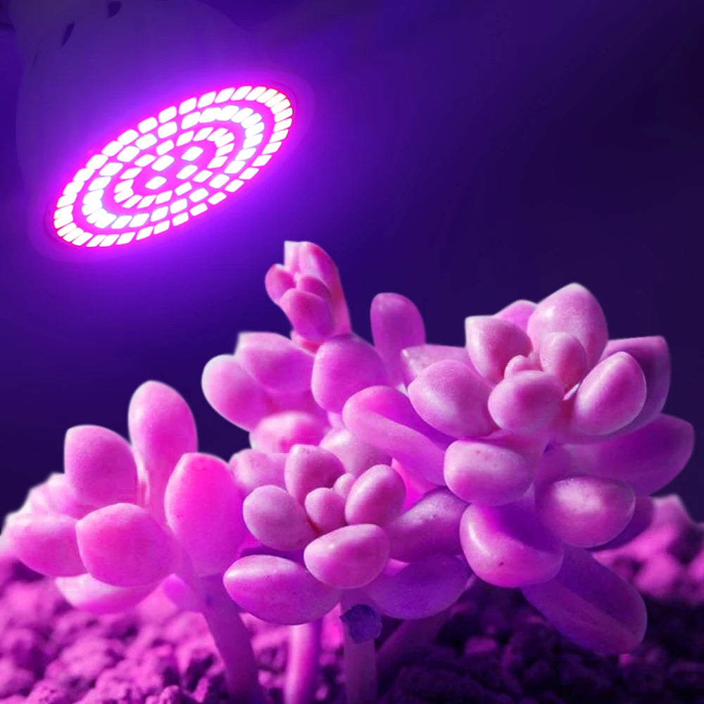 LED Grow Light Bulb E27 220V Full Spectrum 60/80LED Plant Lamp for Indoor Garden Seedling Greenhouse Hydroponics Grow Tent Zpaxo
