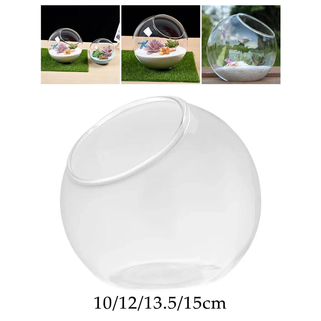 Clear Glass Slant Cut Terrarium Vase | Home & Office Decor Glass Terrarium Vase Zpaxo