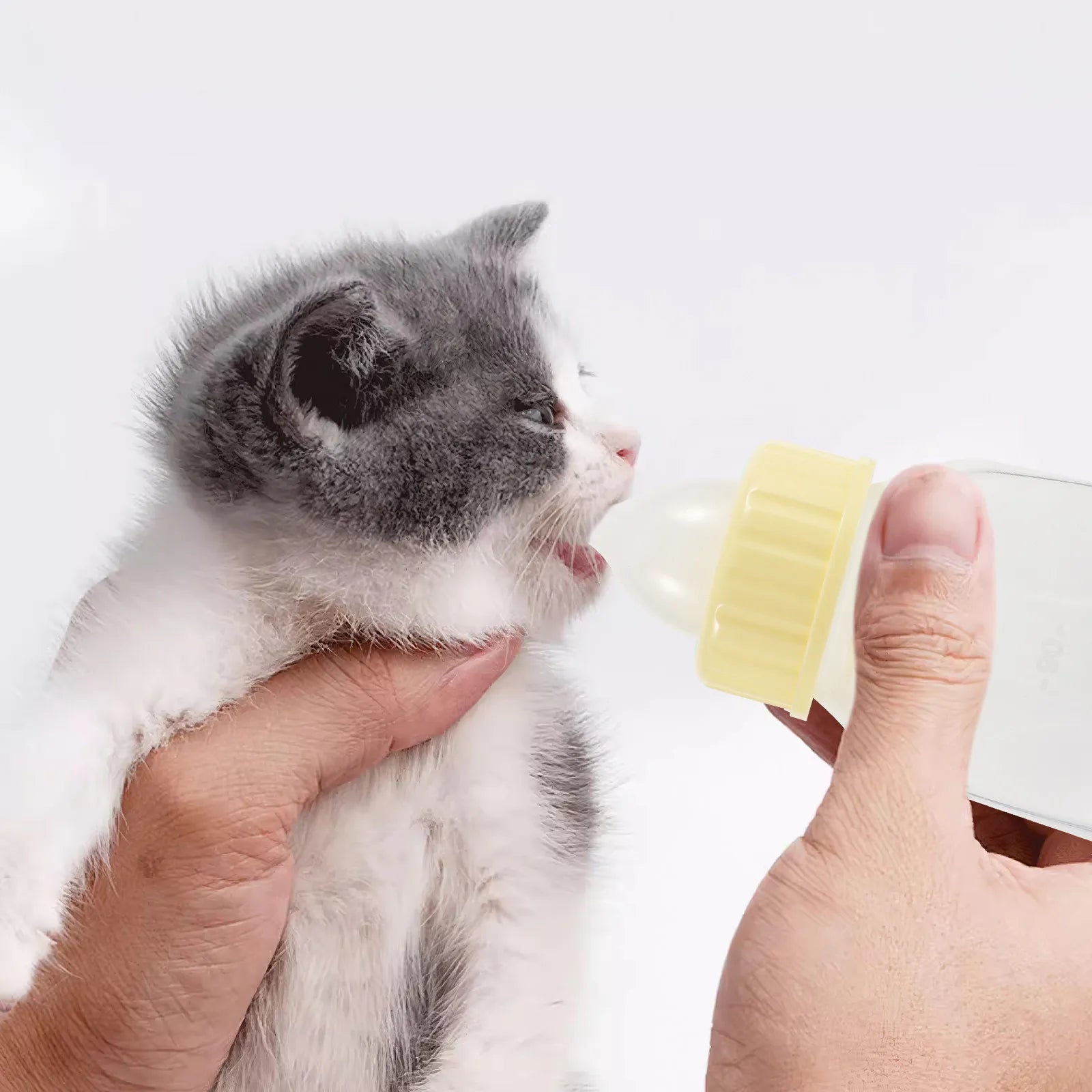 Puppy Kitten Nursing Bottle Reusable Elastic Leak Proof Pet Milk
