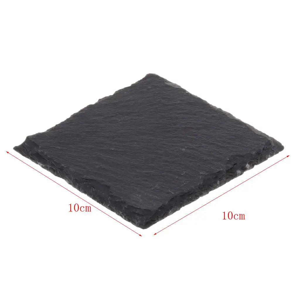 Multifuncational Turtle Basking Pier Resting Place Reptile Dish Plate Zpaxo