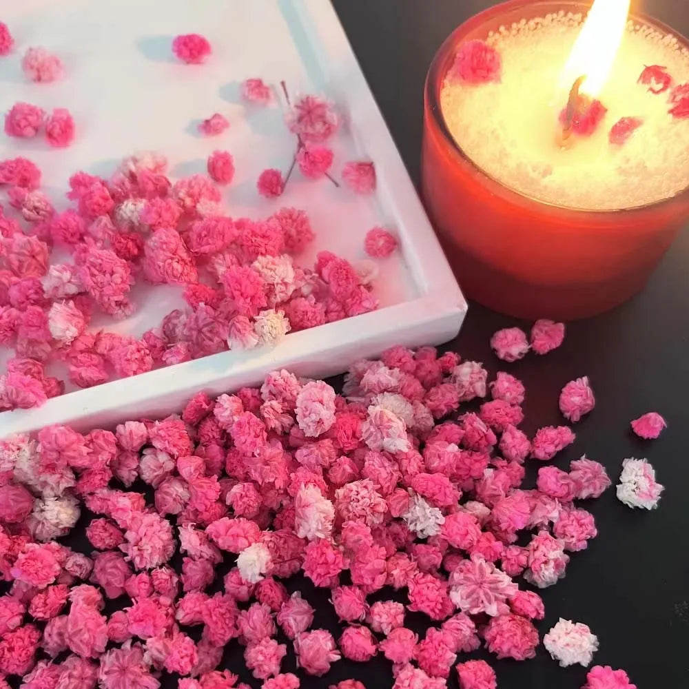 Pink Pressed Flower Mix for Resin, Candles, Nails & Soap Crafts Dried Pressed Flowers Zpaxo