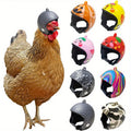 Helmet Chicken Pet Supplies Protection Chicken Hat Hamster Funny Headband Bird Toy Animal Headgear Zpaxo Random 1pc