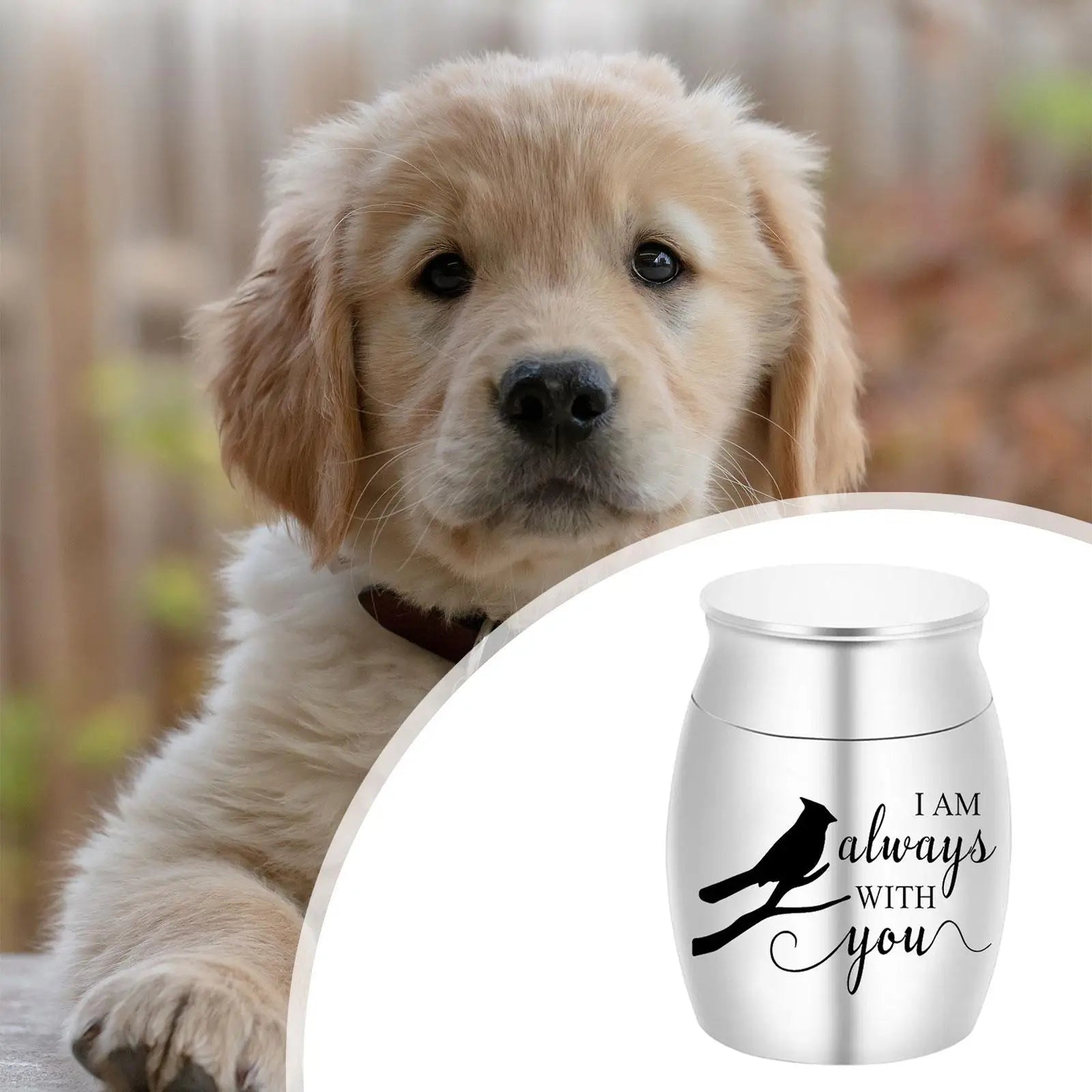 Mini Stainless Steel Pet Cremation Urn | Memorial Keepsake Case Pet Memorial Urn Zpaxo