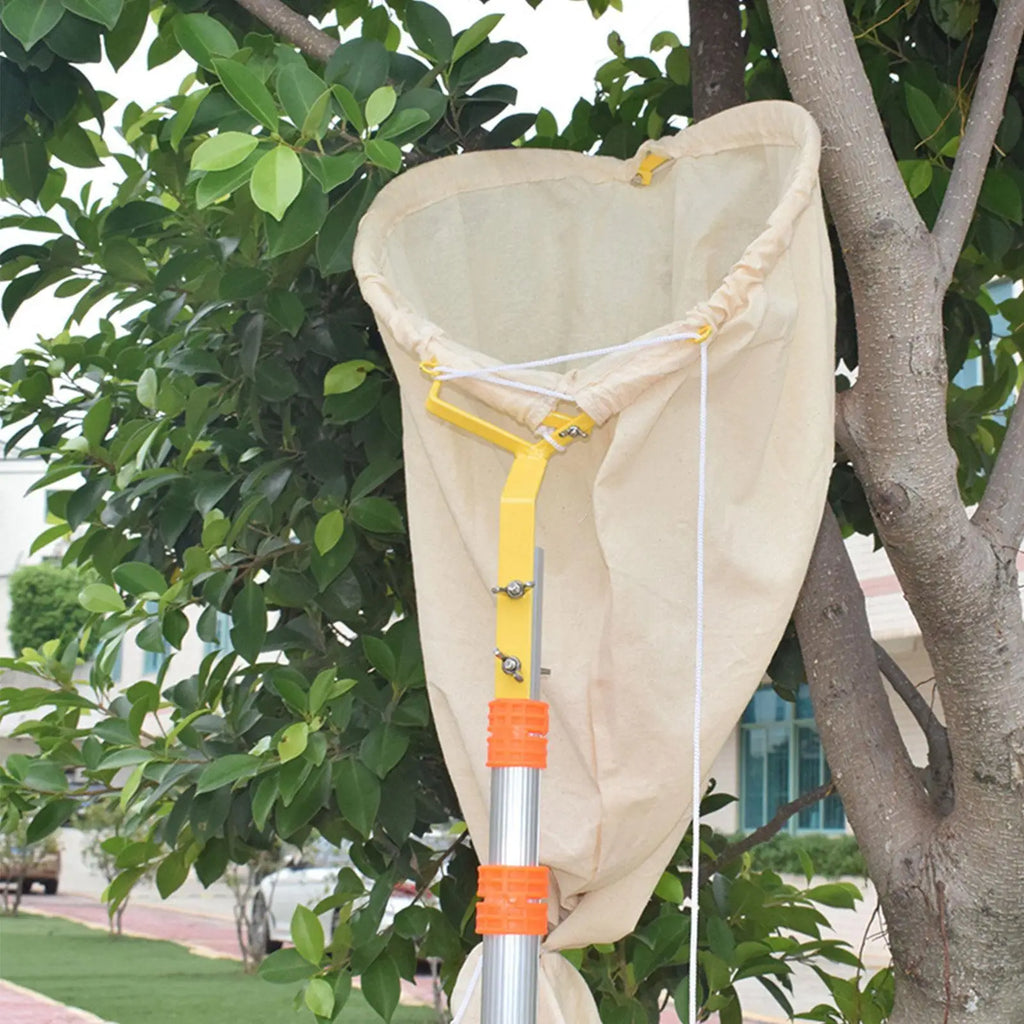 Bee Swarm Catcher Bag Telescopic Tools Beekeeping Recruit Tool