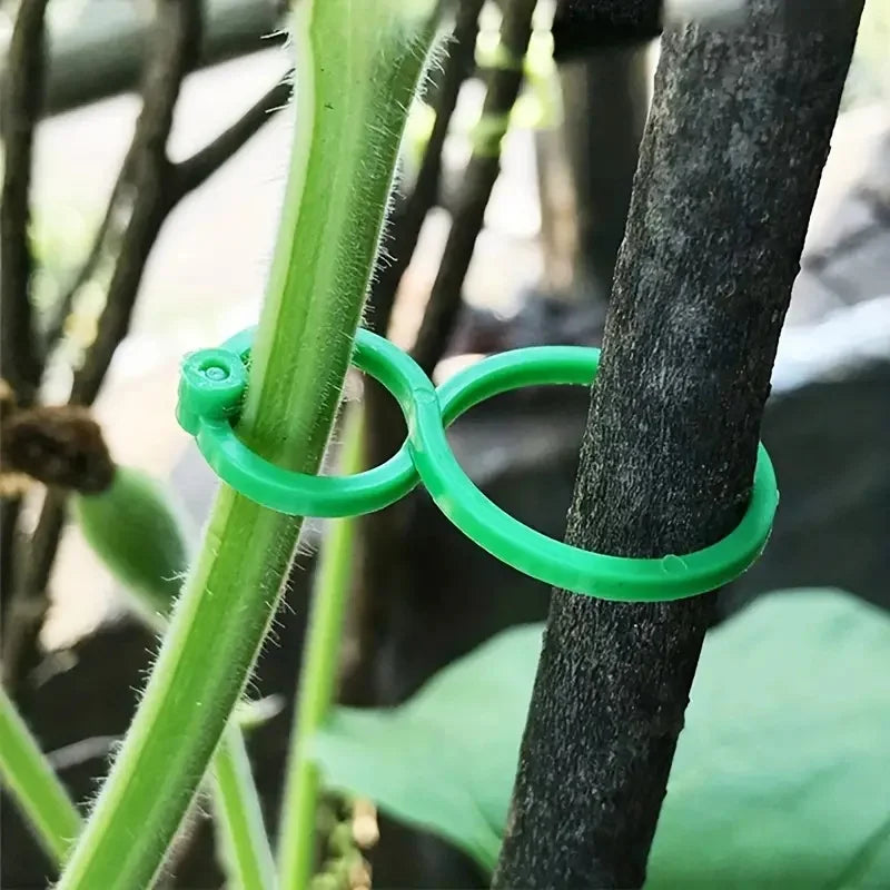 Gardening 8-figure clip garden green plant tomato vine binding plastic clip garden plant 8-figure buckle fastening buckle Zpaxo