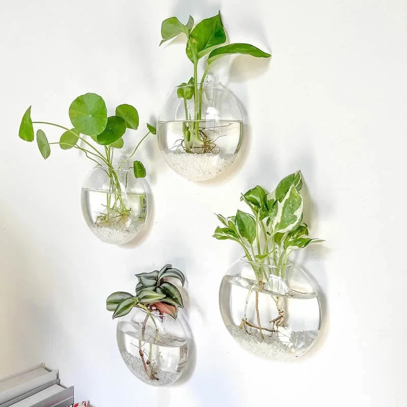 Glass Wall-mounted Plant Greenhouse Propagation Station Vase Air Home