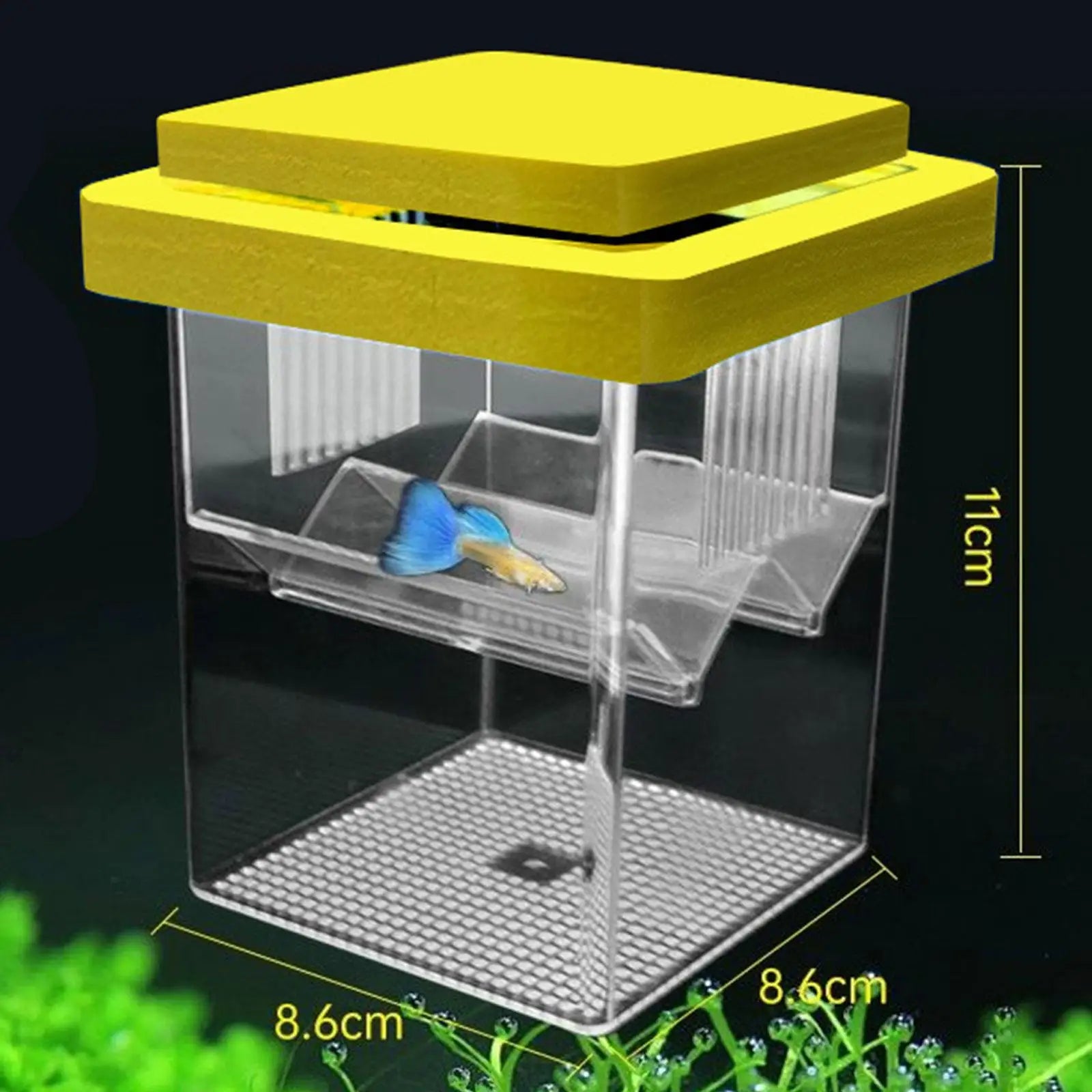 Floating Fish Breeding Box Nursery Tank Hatchery Incubation Small Zpaxo