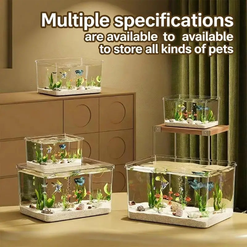 Frameless Tabletop Aquarium Shatterproof Clear Acrylic Aquatic Scene