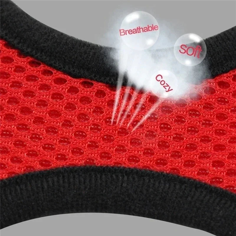 Cat Harness Vest Walking Lead Leash For Puppy Dogs Collar Polyester Adjustable Mesh Dog Harness For Small Medium Pet Accessories Zpaxo