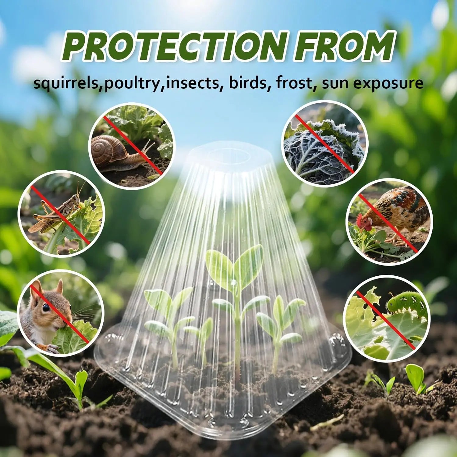 Reusable Plant Cloche Mini Greenhouse Cover 12/24 Pack