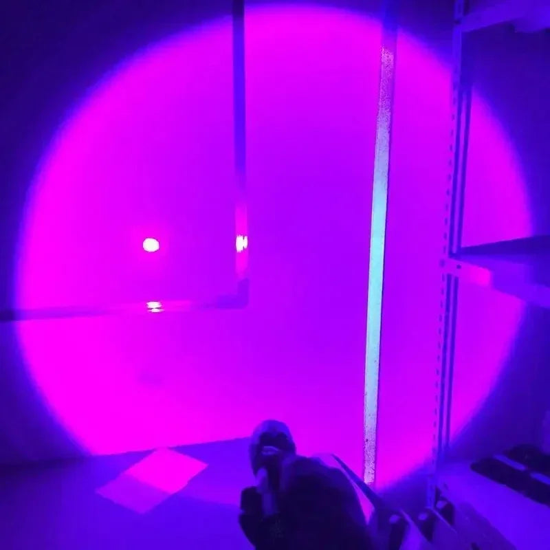 395nm UV Blacklight Flashlight – Zoomable USB Rechargeable