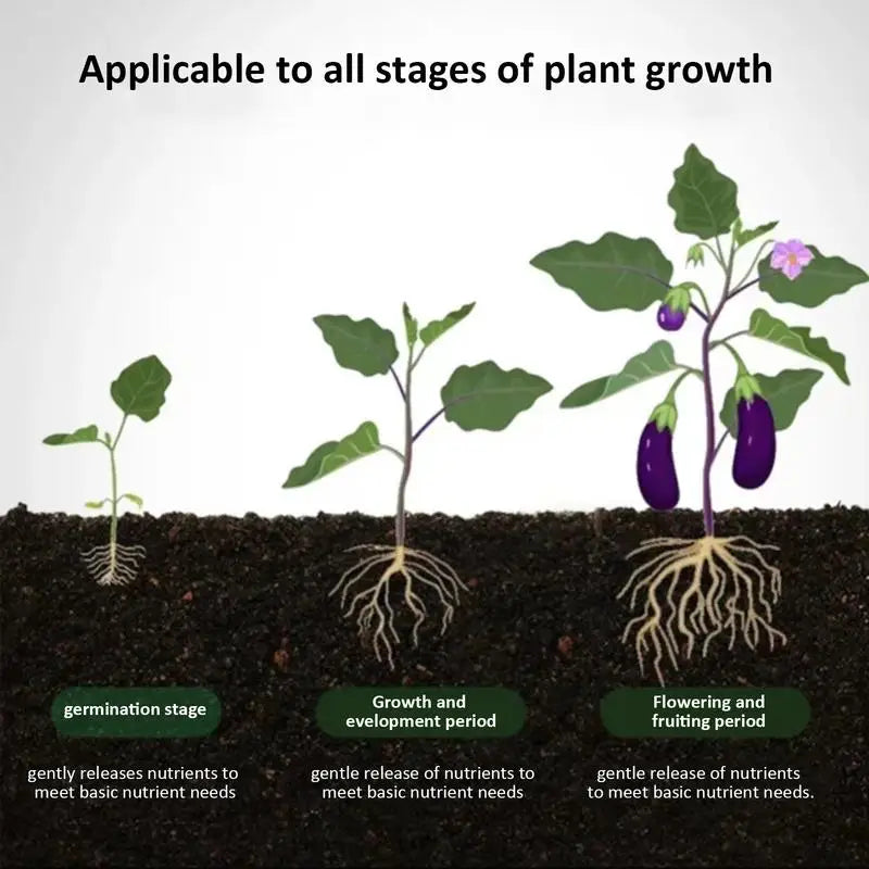 Box Plant Slow-release Sticks Nutrient Stick Fertilizer Indoor Potted
