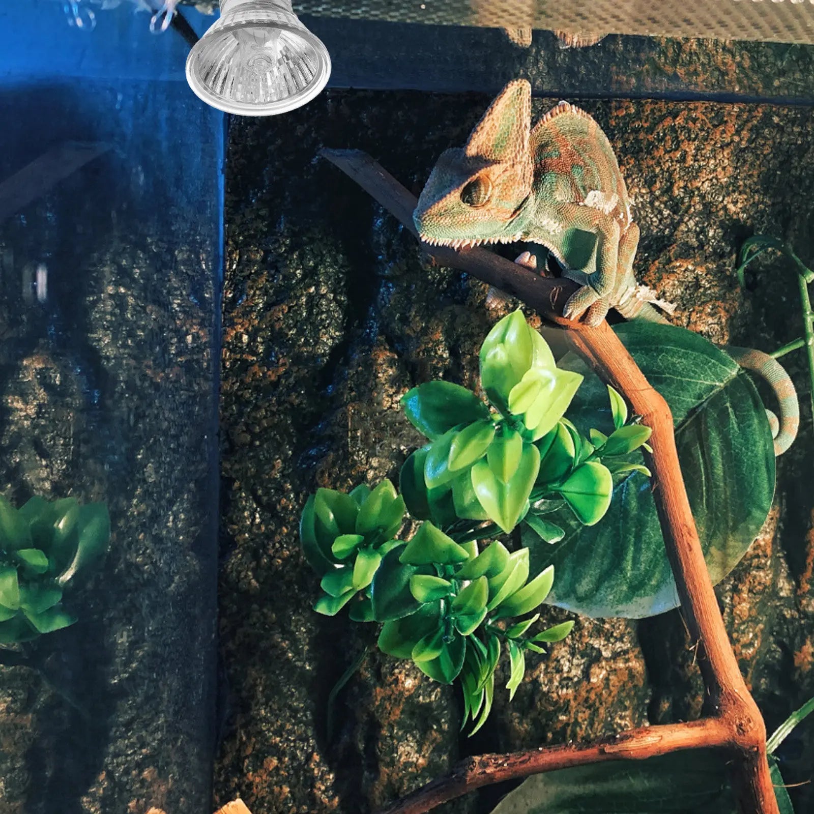 Reptile Heat Light Bulb Professional Turtle Heating Lamp Aquarium