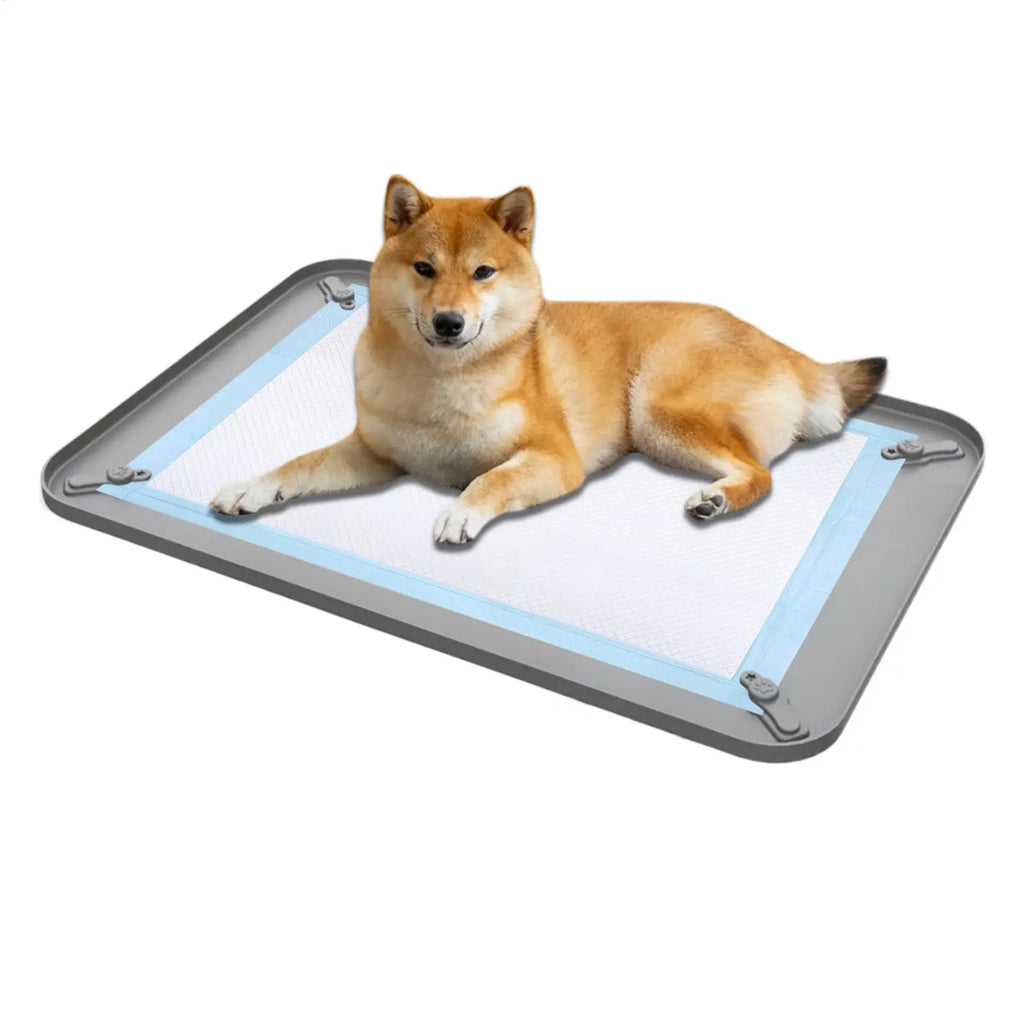 Silicone Dog Pee Pad Holder – Leak-Proof Puppy Potty Tray Puppy Potty Tray Zpaxo