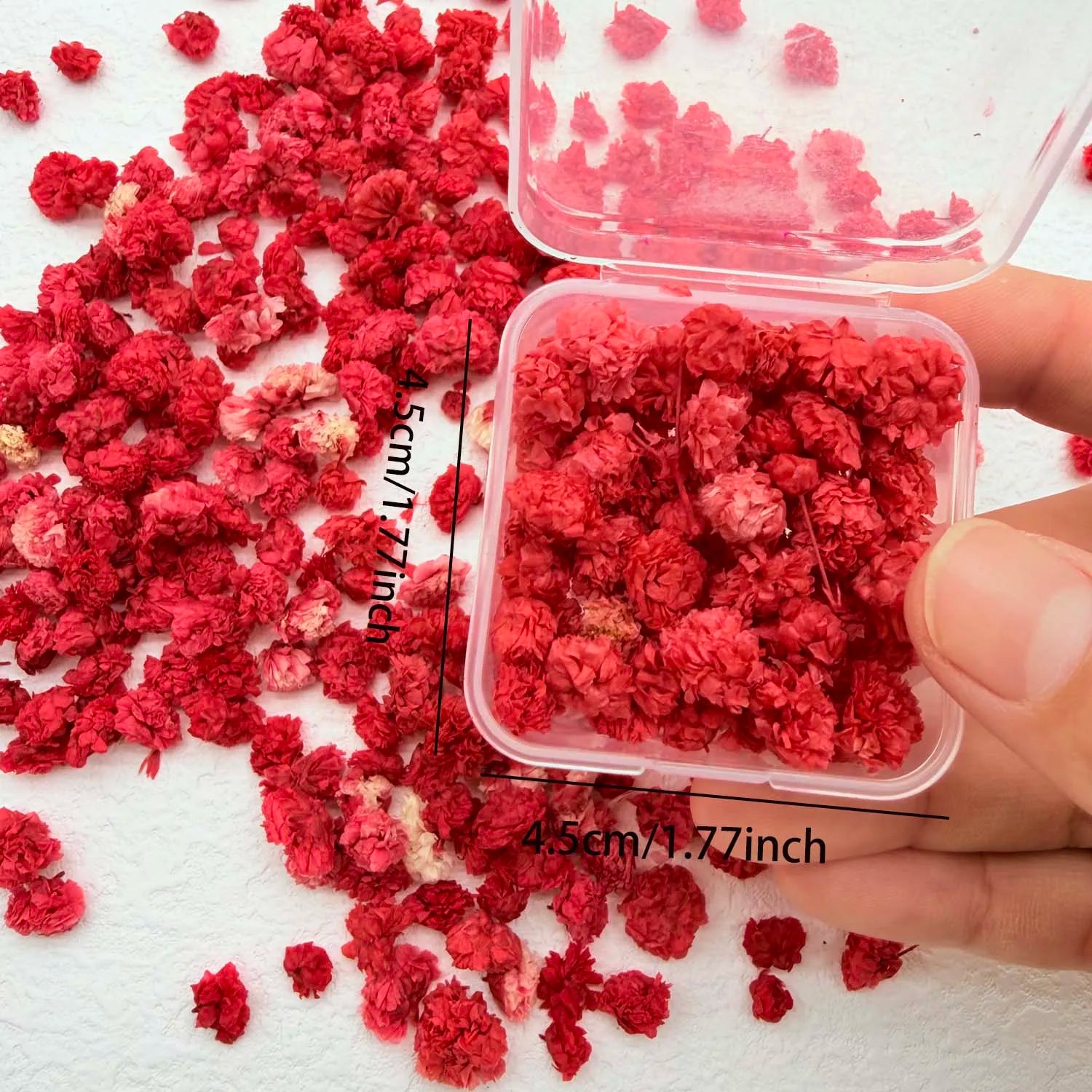 Colorful Daisy Flower Heads – DIY Resin, Candle & Jewelry Filler Craft Flower Filler Zpaxo red S