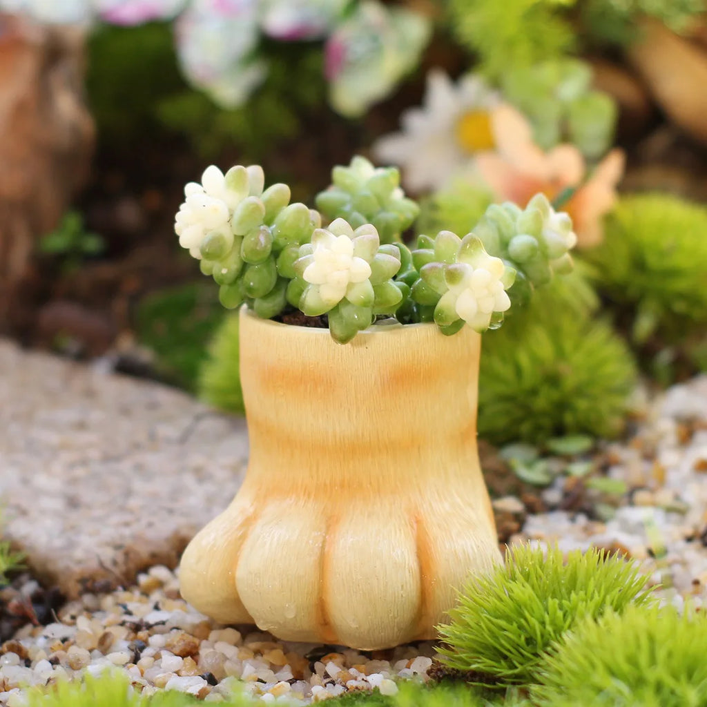3D Cat Paw Resin Planter – Succulent Pot & Desk Organizer