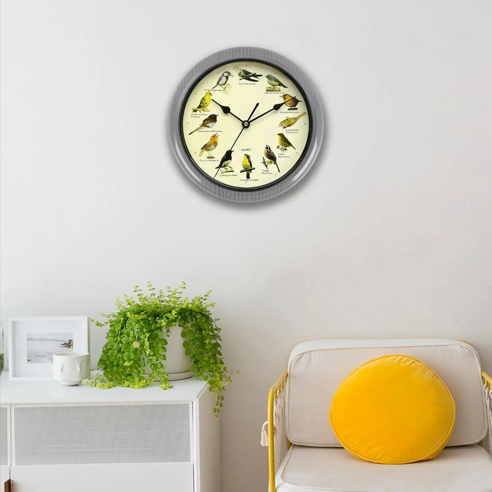 Musical Singing Birds Wall Clock – 12 Bird Calls, 10 Inch Decorative Wall Clock Zpaxo Gray 25cm