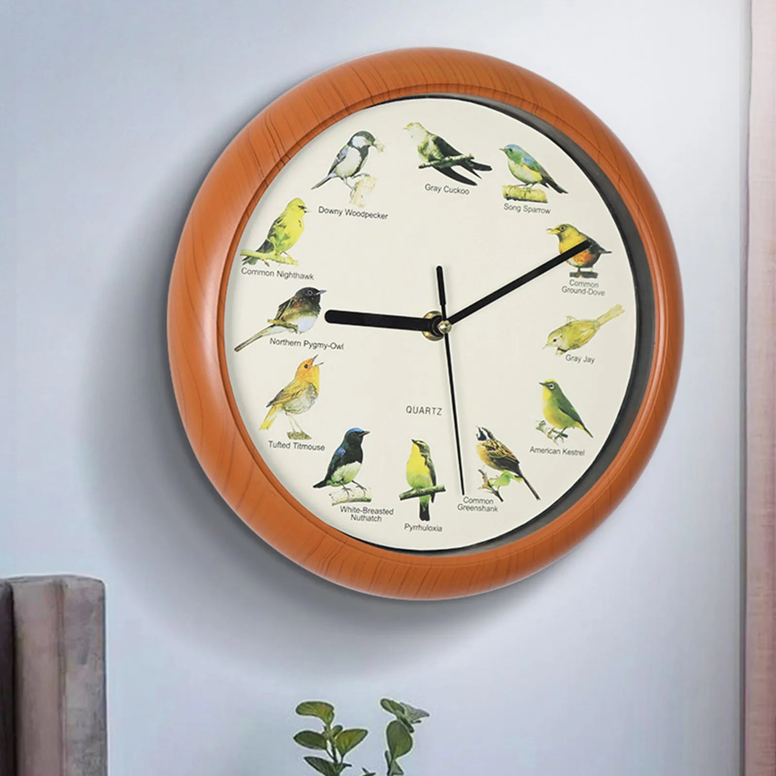 Wall Hanging Clock Decor Singing Bird Wall Clock Bird Clock With Sound Hanging Clock Decor for Kitchen Walls Shelf Decoration Zpaxo