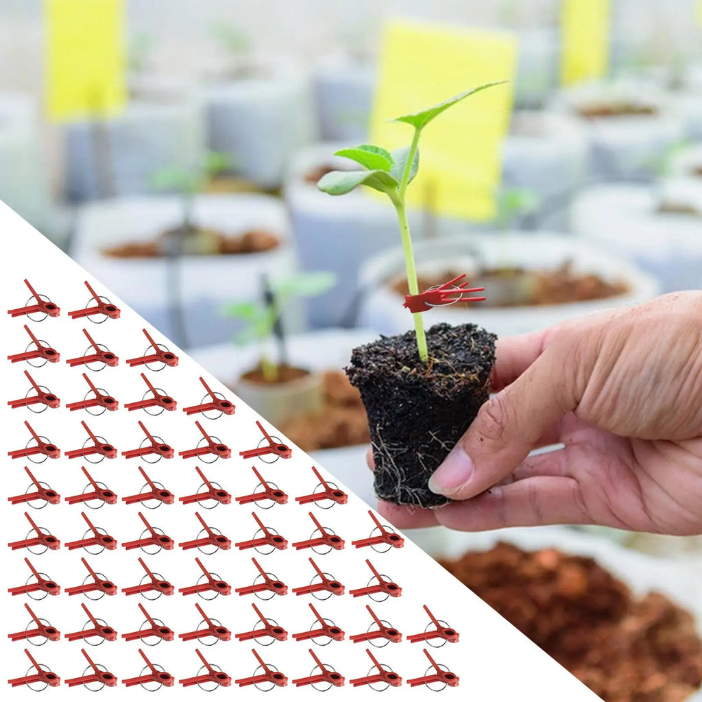 Grafting Clips Pack Of 50 Horticulture Grafting Clamp Falt Mouth Hooks Connecting For Vegetables Watermelon Gardening Tool Zpaxo