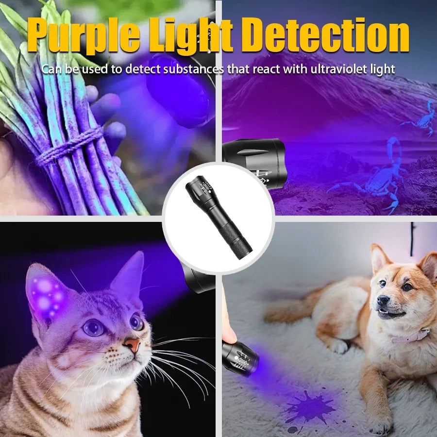 2-in-1 UV & White LED Flashlight – 395nm Zoomable Torch