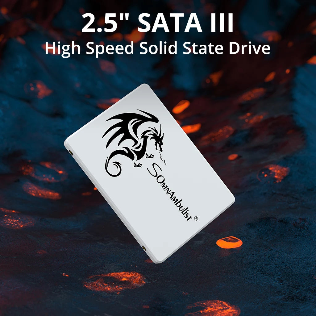 SomnAmbulist SSD 2.5 64GB 128GB 256GB 512GB for Laptop Desktop Solid State Drive Sata3 120GB 240GB 480GB Zpaxo