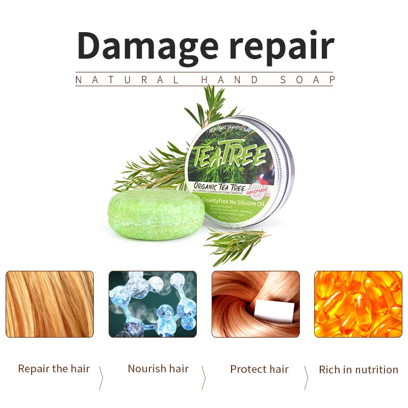 Tea tree essential oil plant shampoo is refreshing, oil controlling, dandruff reducing, and strong for hair. Handmade shampoo wi Zpaxo