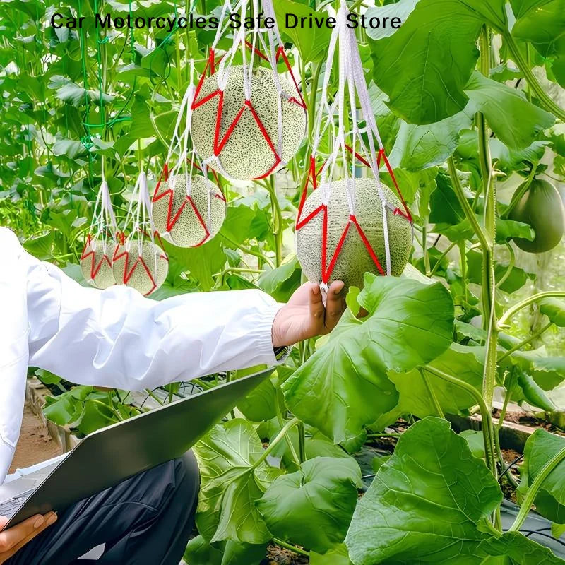 Heavy-duty Fruits Net Bags 5 10 Large Capacity Shopping Watermelons