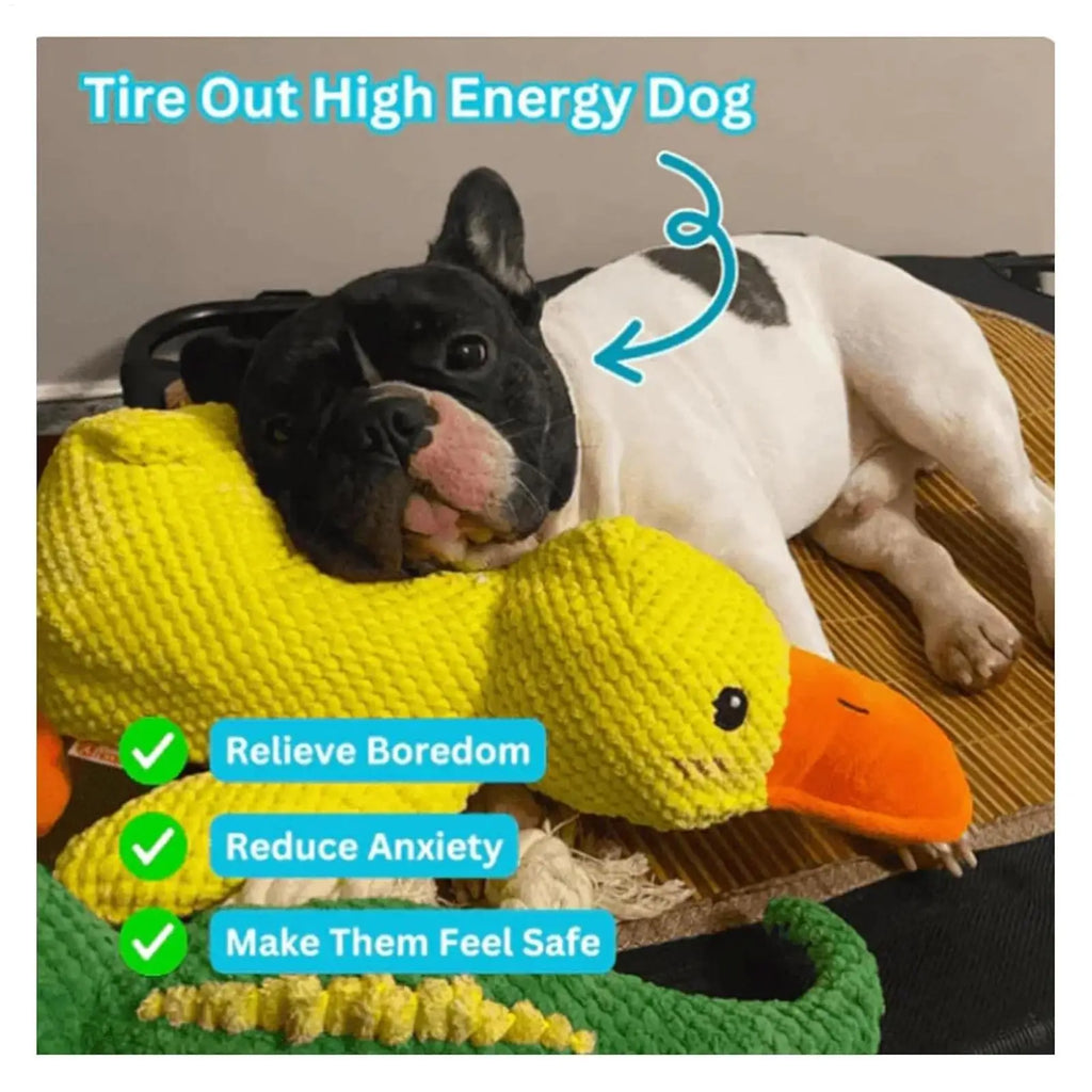 Squeaky Duck Dog Chew Toy Interactive Pet Small Medium Dogs Puppy