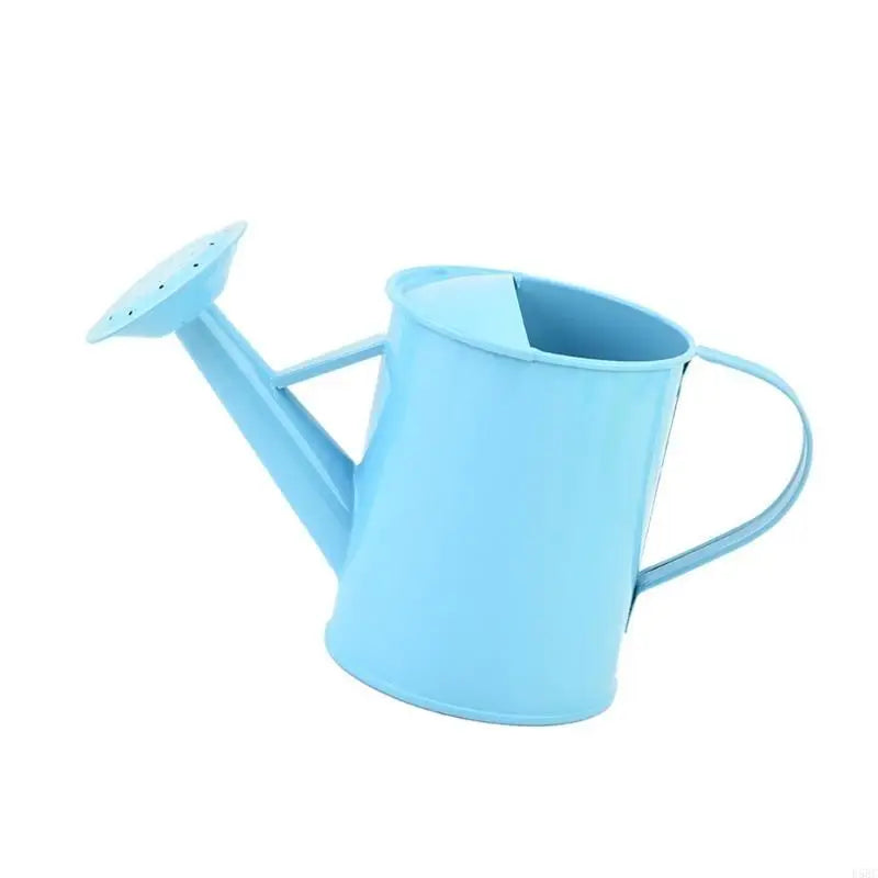 Iron Watering Can Easy Grip Handle Design Precise Indoor Outdoor