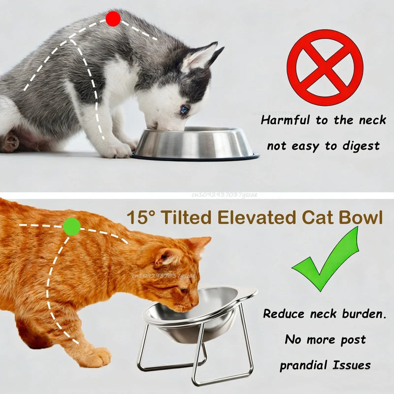 304 Stainless Steel Raised Cat Bowl 15° Tilted Neck Guard Shatterproof for Cats Puppies Healthy Feeding Pet Products Cat Feeder Zpaxo