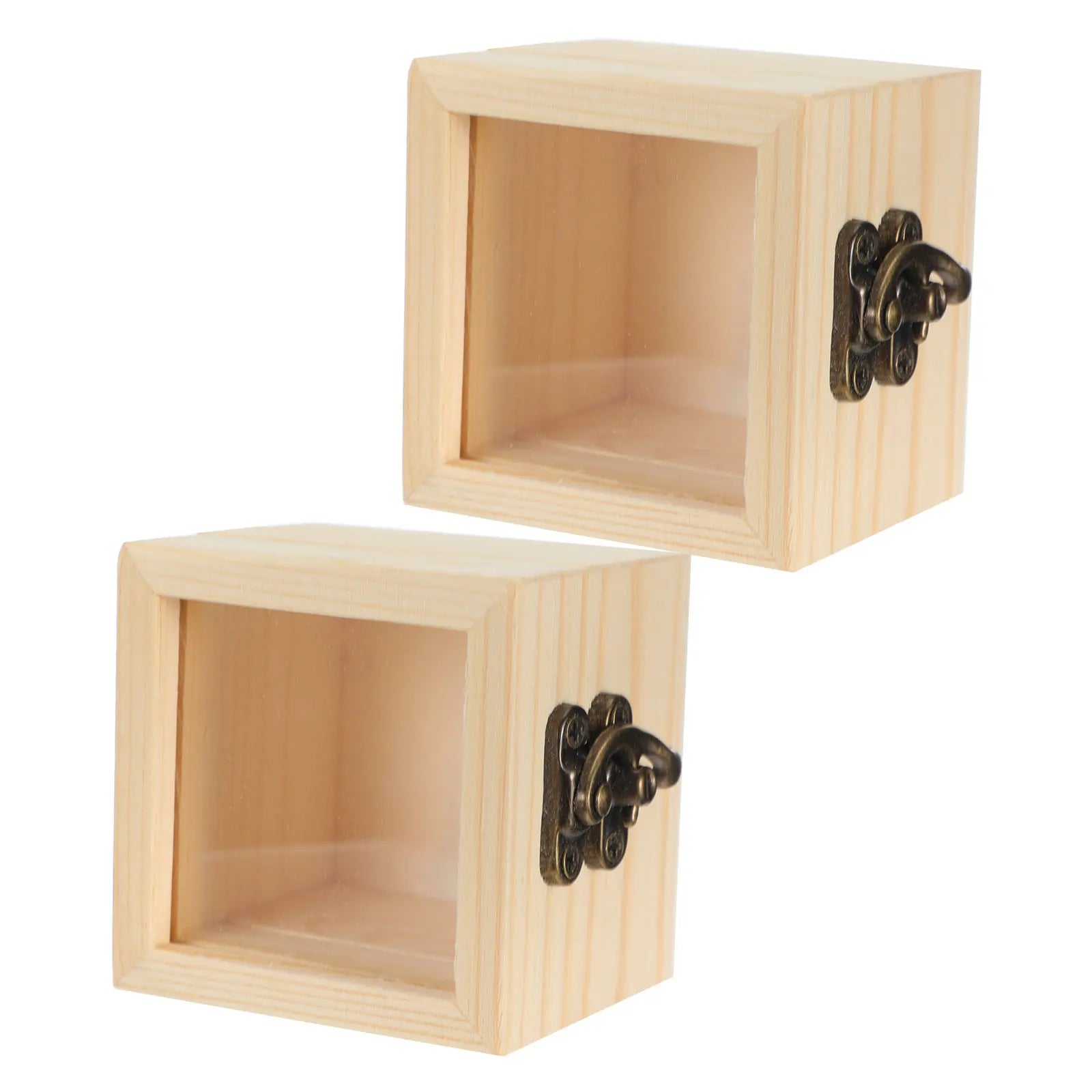 Insect Display Box Natural Wood Clear Lid Specimen Storage Square