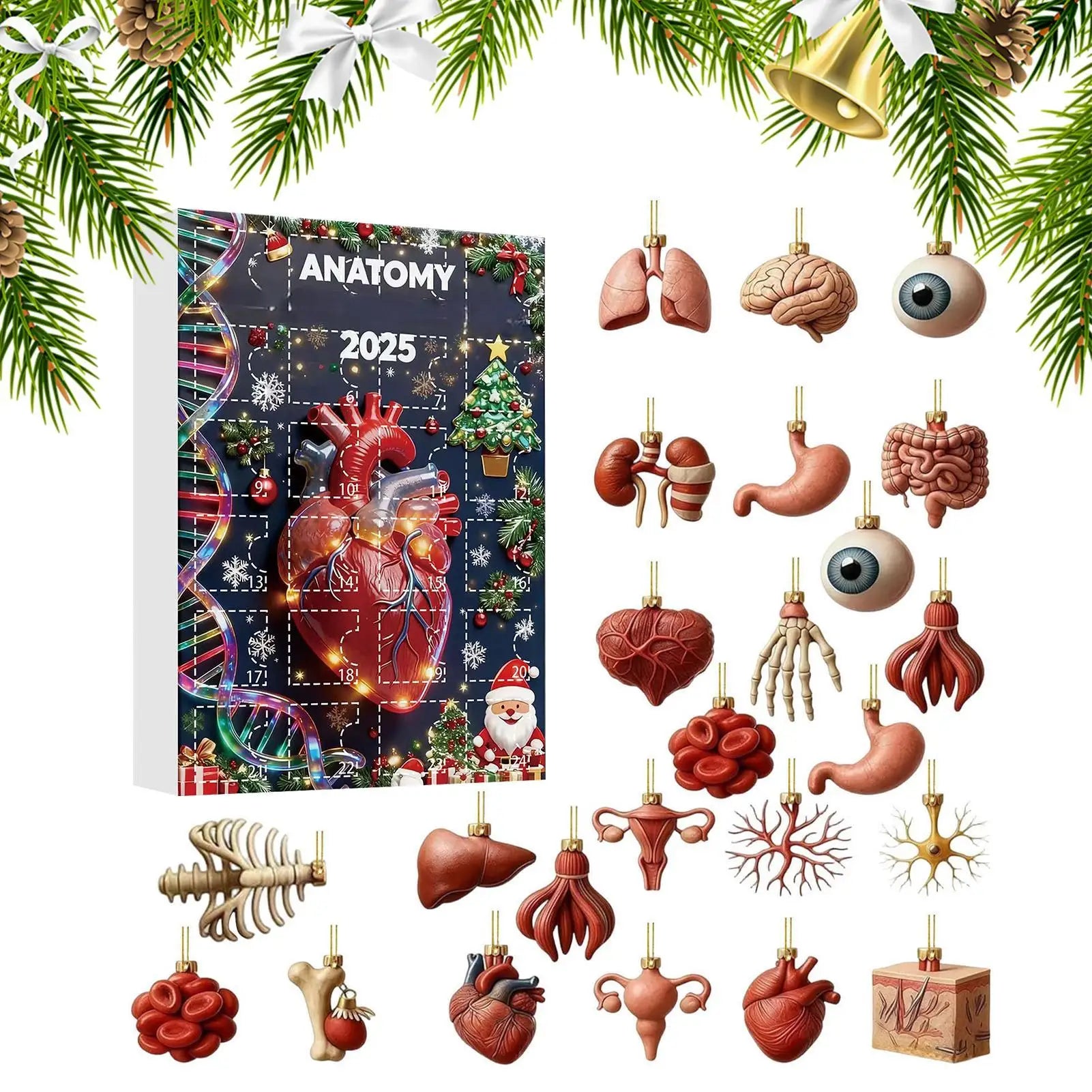 2025 Science Theme Advent Calendar 24 Days Countdown Decorations