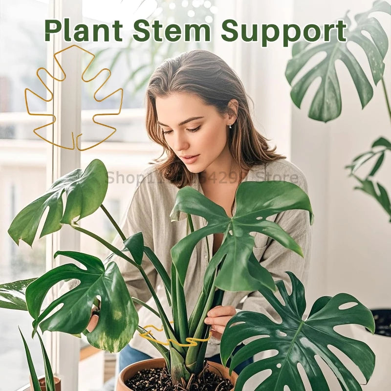 Adjustable Metal Plant Stem Support Flower Climbing Stem Holder Vine Branch Iron Hooks Garden Plant Climbing Plant Trainer Zpaxo