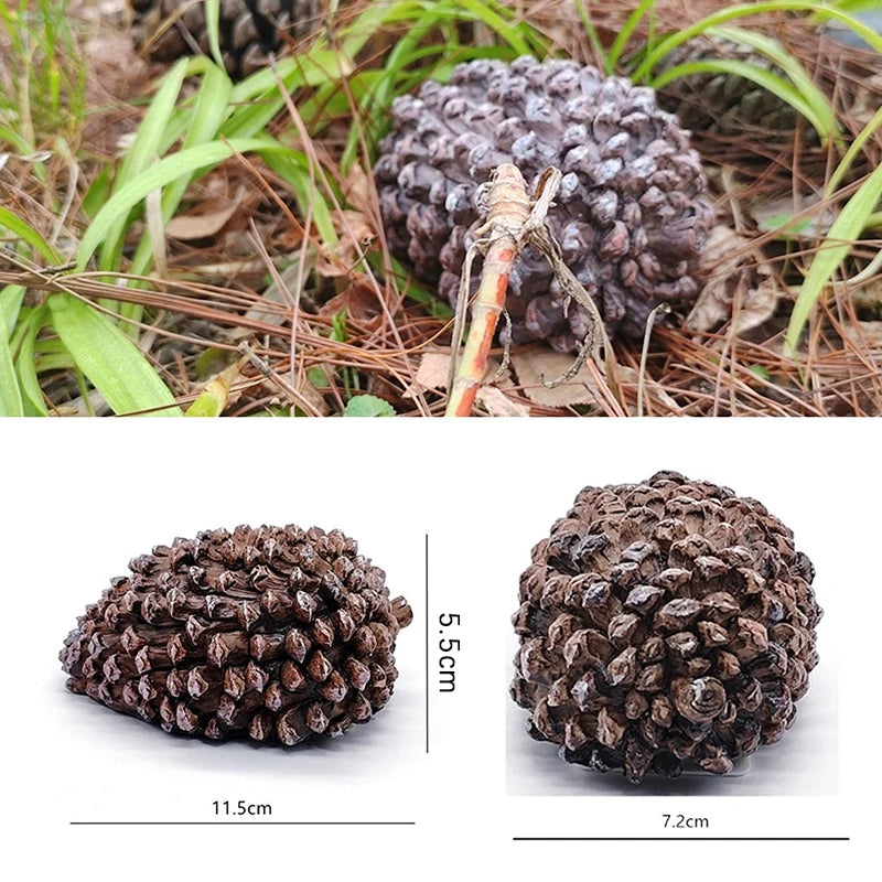 Outdoor Pinecone Spare Garden Key Box Rock Hidden Hide Stone Security