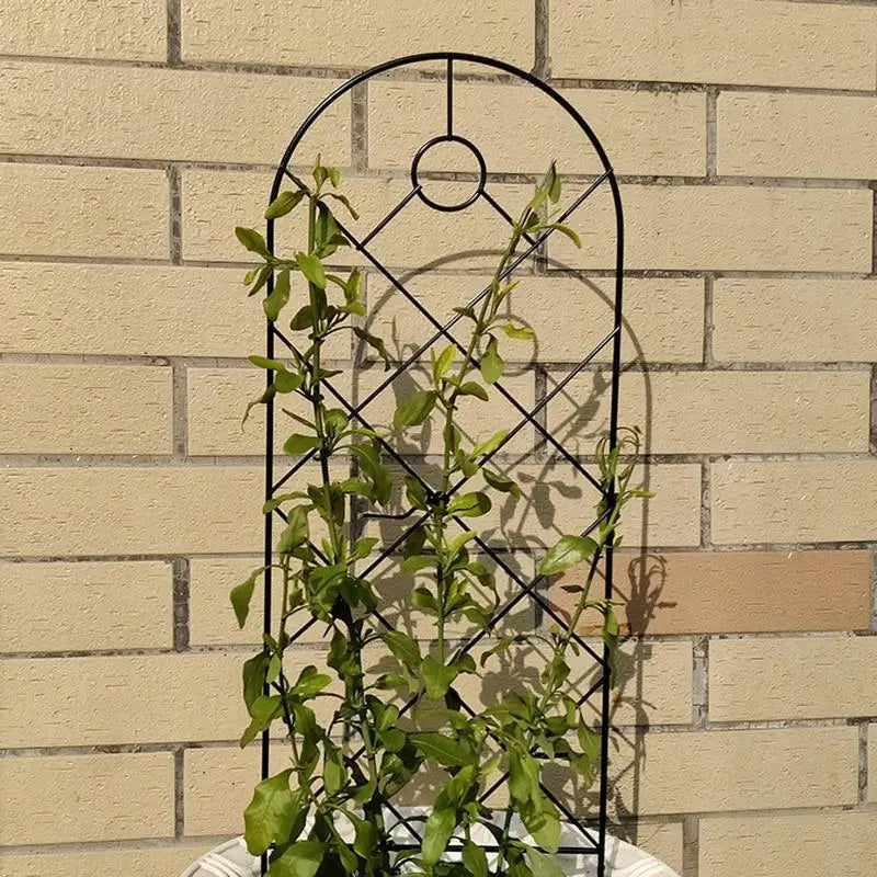 Trellis For Climbing Plants Outdoor House Plant Trellis Indoor Rust Proof Iron Lattice Grid Panels For Climbing Plants Cucumbers Zpaxo