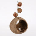 Hamster House Bite-resistant Natural Small Pet Coconut Cages Guinea-pig Hamster Hideout House Toy Wooden House Pet Supplies Zpaxo nest