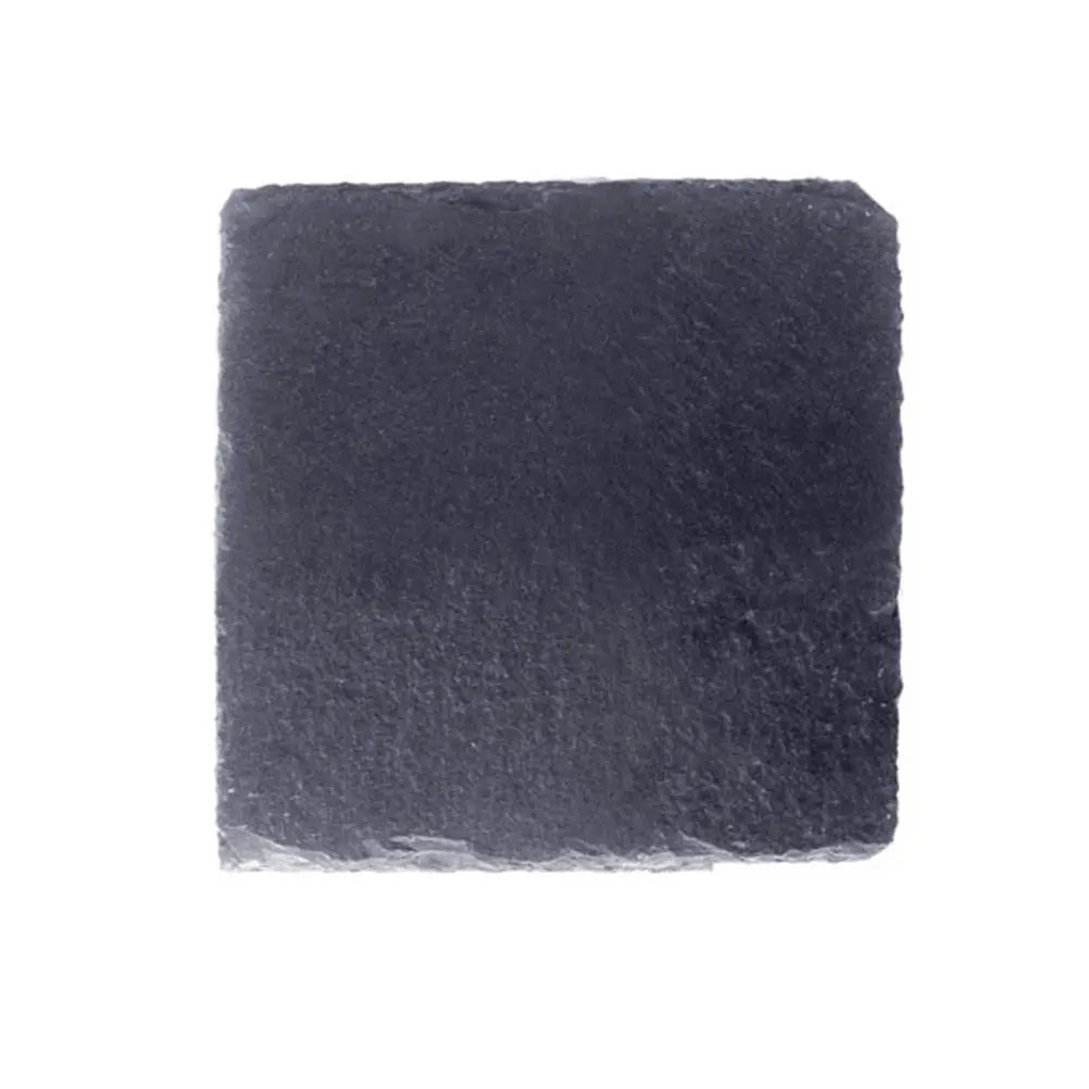 Turtle Reptile Food Dish Plate 10x10cm Moisture Absorbing Natural